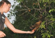 20.10.2007: Der domestizierte Affe nahm gerne Kristinas Apfel / El macacao domesticado no dudó en llevarse la manzana de Kristina